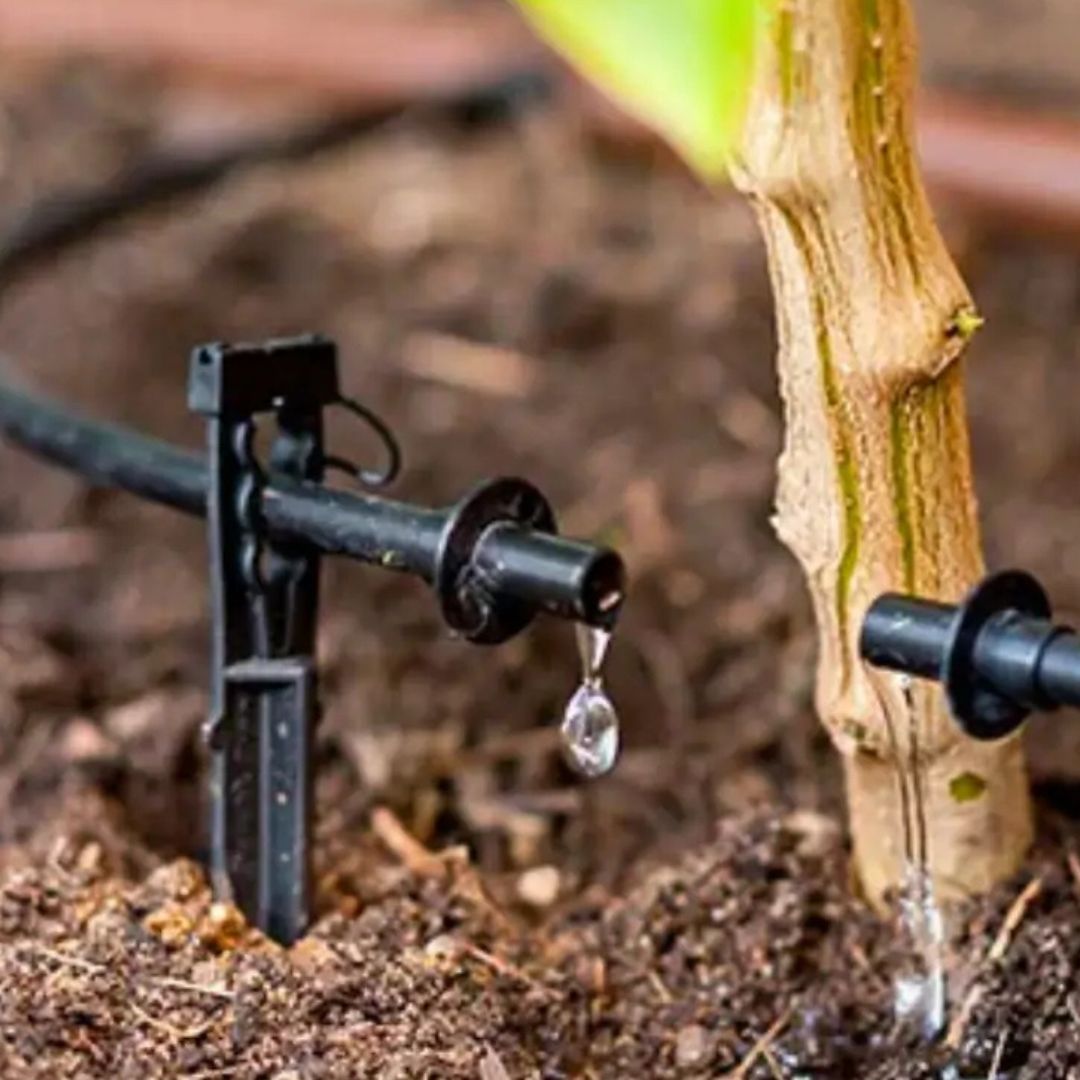 Bongo Tech - Support Stand for Dripper & 4mm Pipe – Drip Irrigation ...